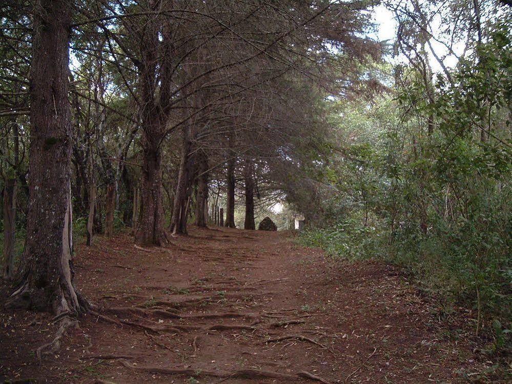Hotel Rosa Dos Ventos Teresópolis Dış mekan fotoğraf